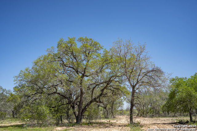 Image 36 of 38 For 2731 County Road 770