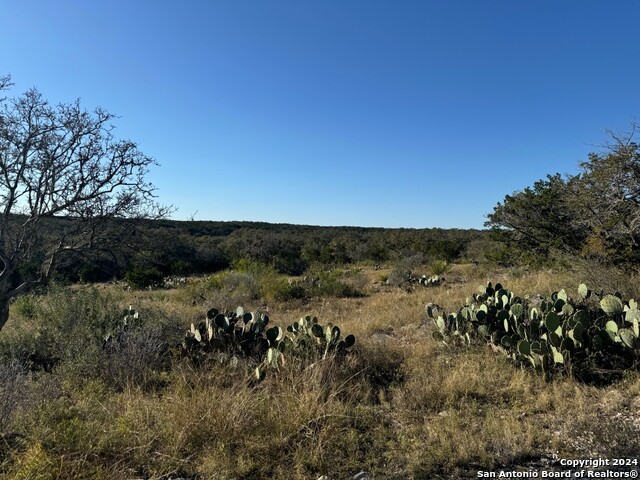 Image 11 of 12 For Tbd County Road 241