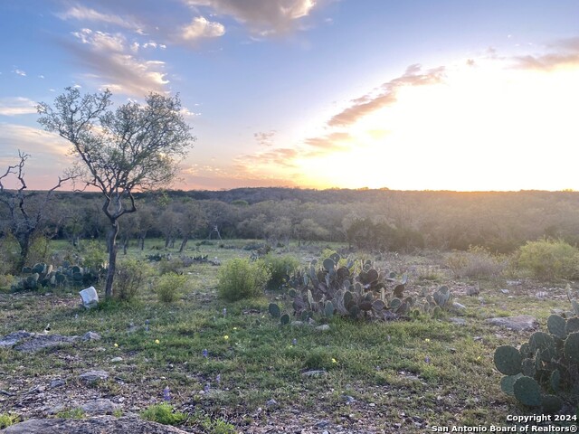 Image 3 of 12 For Tbd County Road 241