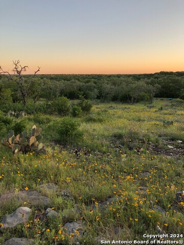 Image 4 of 12 For Tbd County Road 241