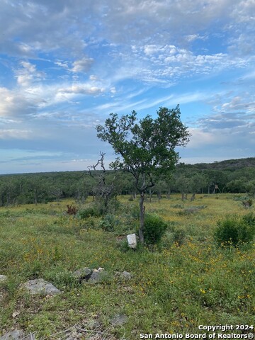 Image 7 of 12 For Tbd County Road 241