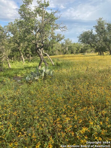 Image 8 of 12 For Tbd County Road 241