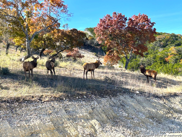 Image 15 of 15 For 0 Lot 92 Elk Mountain Ranch