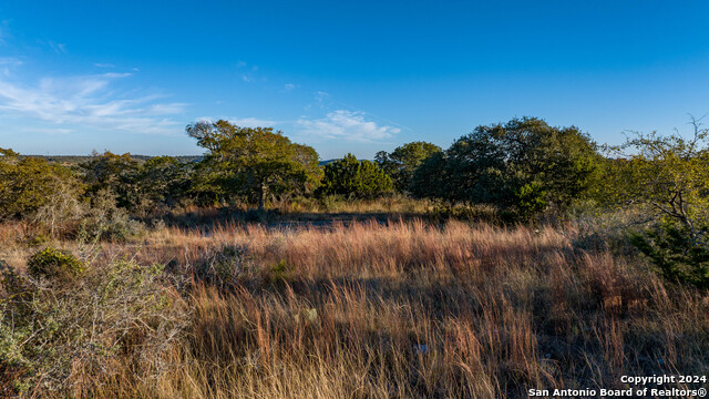 Image 20 of 50 For 259 Lookout Point N