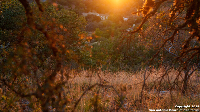 Image 23 of 50 For 259 Lookout Point N