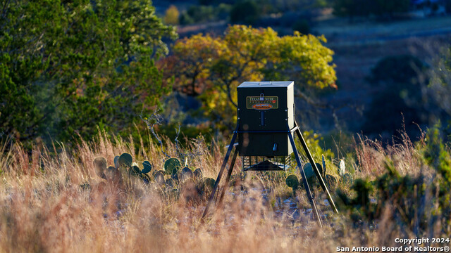 Image 32 of 50 For 259 Lookout Point N