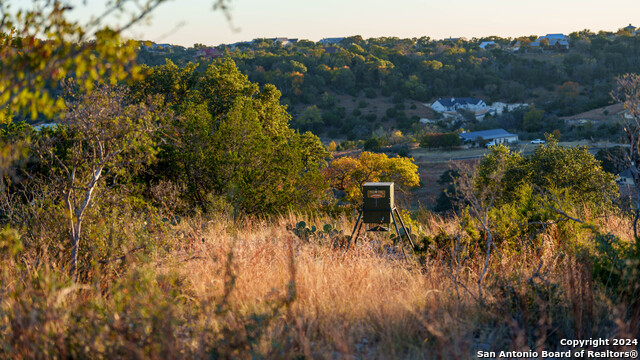 Image 33 of 50 For 259 Lookout Point N