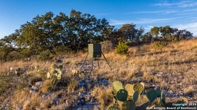 Image 47 of 50 For 259 Lookout Point N