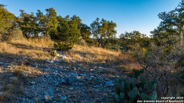 Image 48 of 50 For 259 Lookout Point N