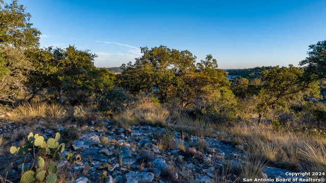 Image 49 of 50 For 259 Lookout Point N