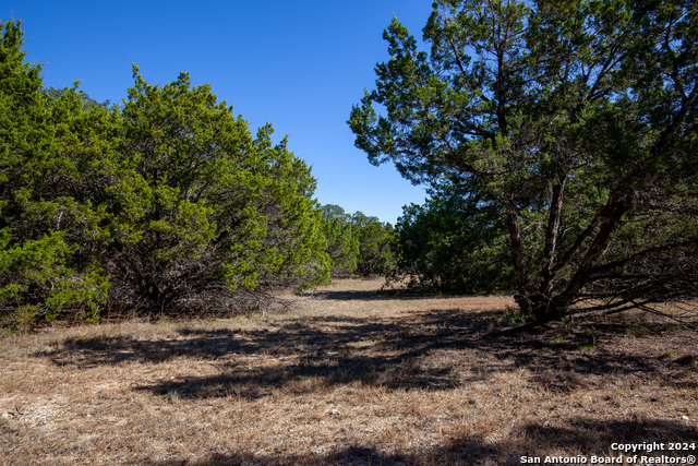 Image 10 of 17 For 26662 Fawn Mtn