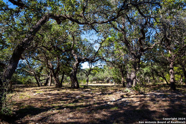 Image 9 of 17 For 26662 Fawn Mtn