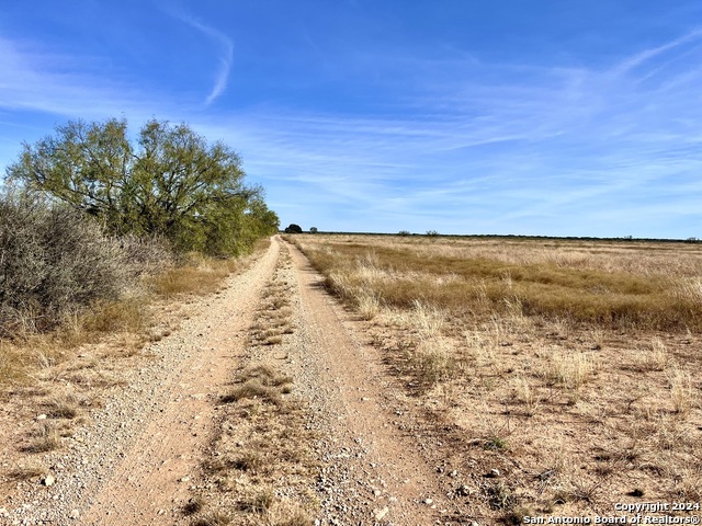 Image 11 of 16 For 00 County Road 300