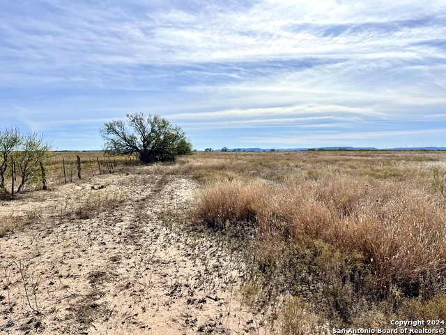 Image 12 of 16 For 00 County Road 300