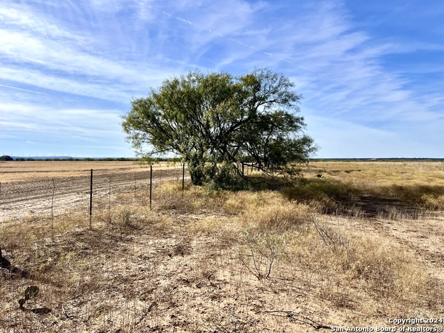 Image 14 of 16 For 00 County Road 300