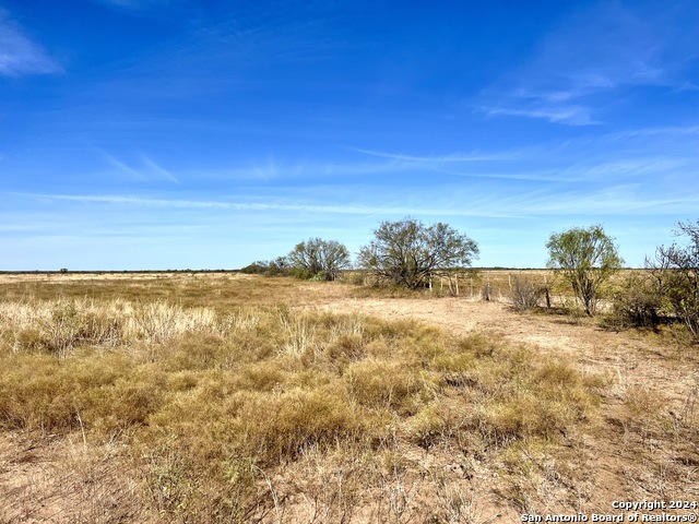 Image 15 of 16 For 00 County Road 300