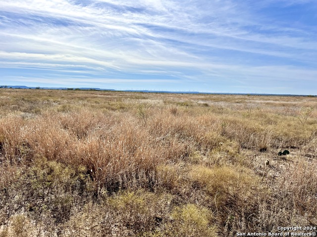 Image 6 of 16 For 00 County Road 300