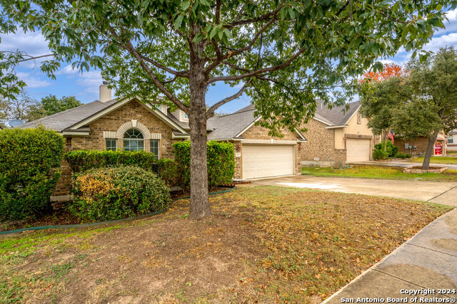 Listing photo id 1 for 3314 Dovetree Ln