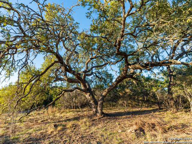 Image 17 of 23 For 192 Elk Ridge