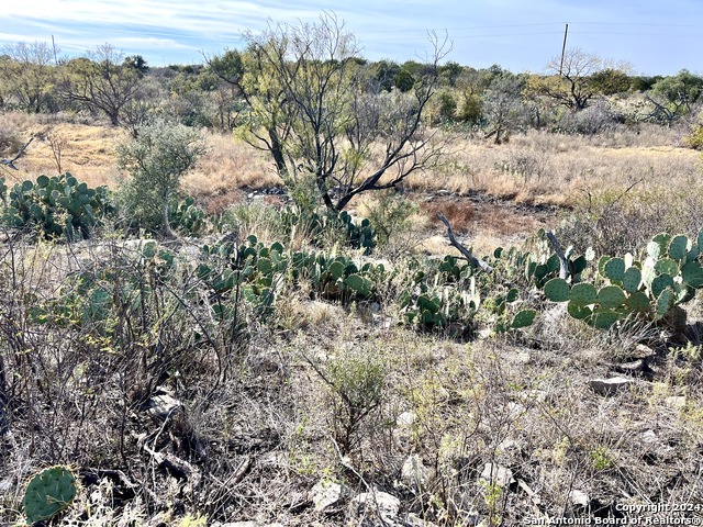 Image 22 of 38 For 01 County Road 300