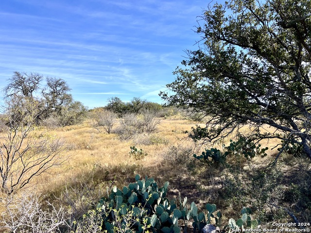 Image 8 of 38 For 01 County Road 300