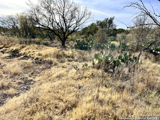 Image 12 of 36 For 003 County Road 300