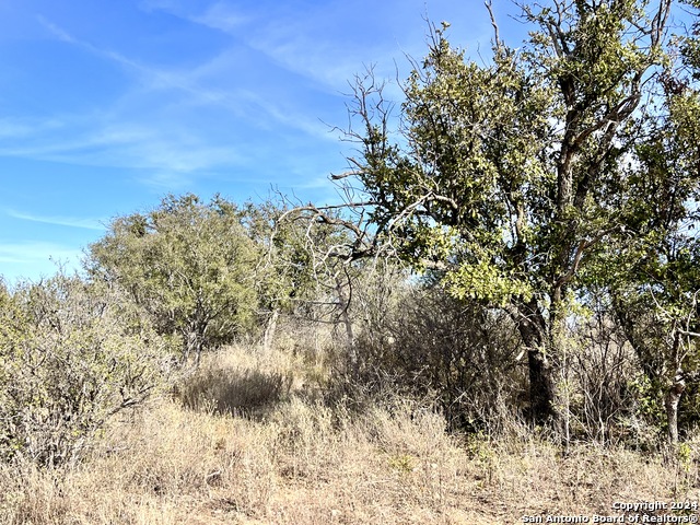 Image 9 of 36 For 003 County Road 300