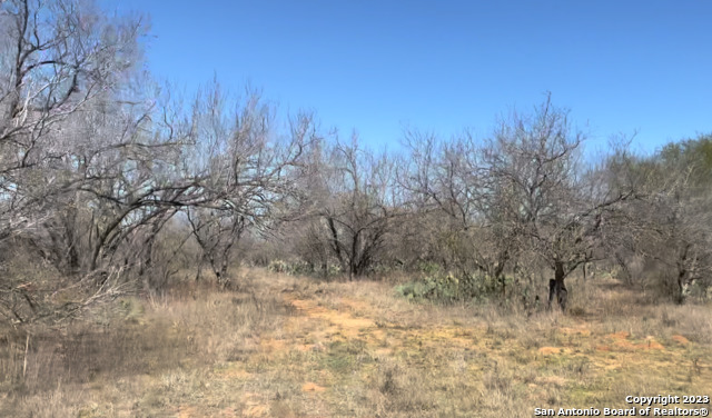 Details for 123 Cr 2644  , Moore, TX 78057