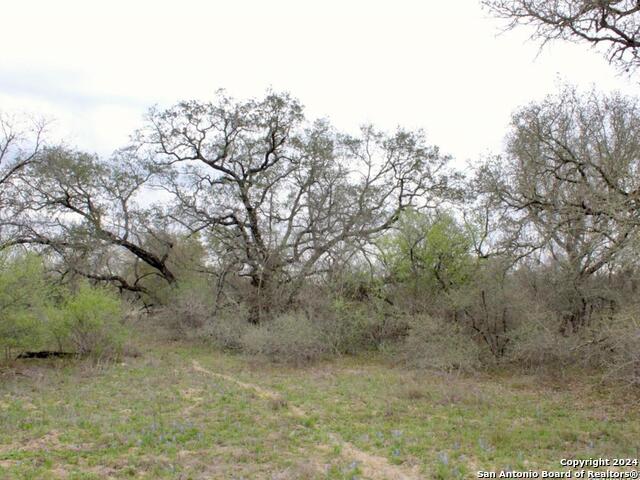 Image 6 of 8 For 2721 County Road 770