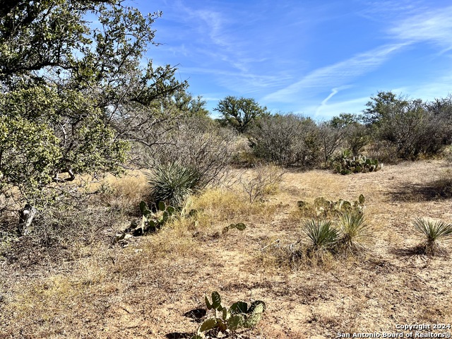 Image 11 of 32 For 05 County Road 300