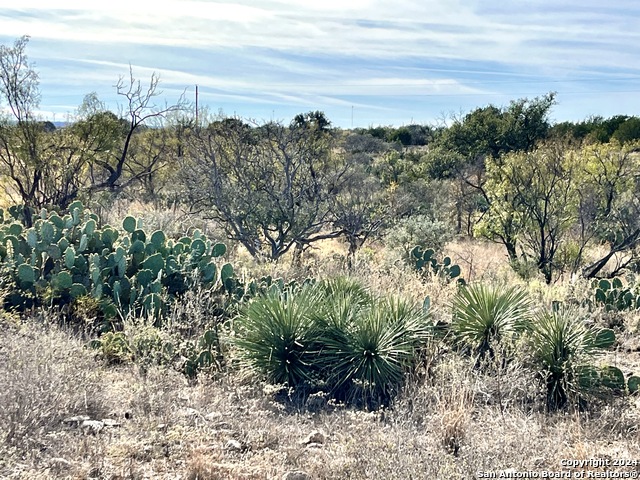 Image 17 of 32 For 05 County Road 300