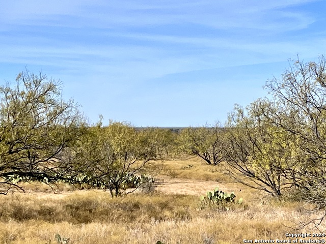 Image 3 of 24 For 06 County Road 300