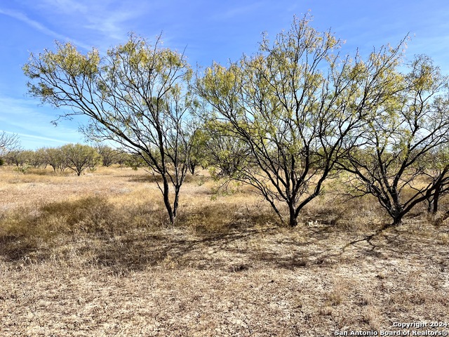 Image 6 of 24 For 06 County Road 300