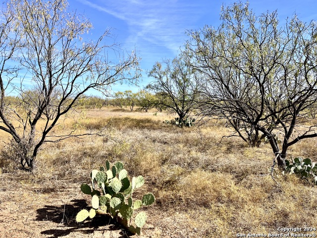 Image 7 of 24 For 06 County Road 300