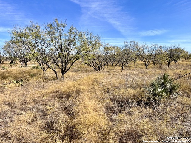 Image 8 of 24 For 06 County Road 300