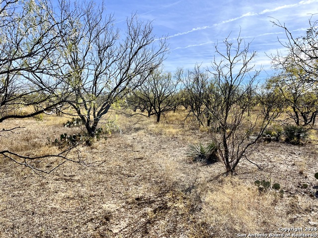 Image 9 of 24 For 06 County Road 300