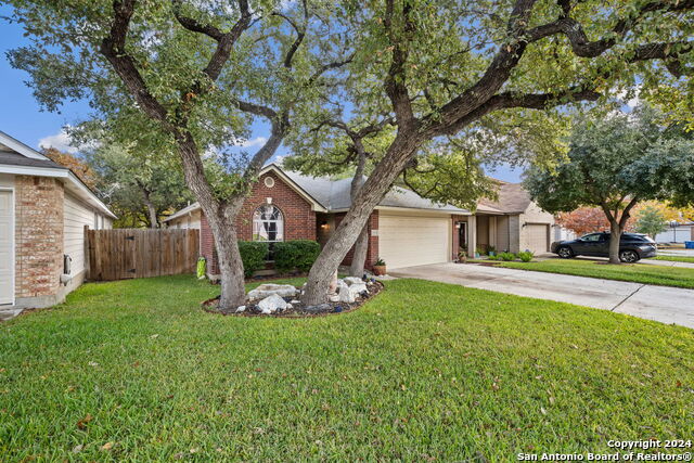 Details for 20602 Tree Meadow, San Antonio, TX 78258