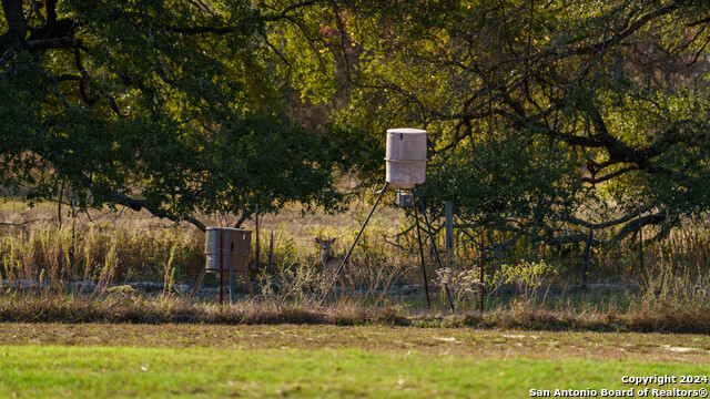 Image 30 of 51 For 573 Flower Trail Loop