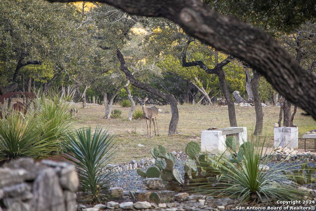 Image 37 of 47 For 2547 Comal Spgs