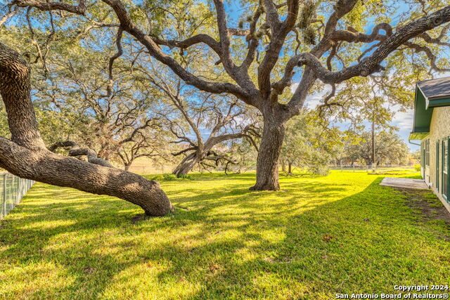 Image 25 of 42 For 633 Live Oak