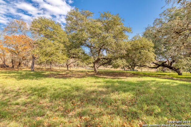 Image 33 of 42 For 633 Live Oak