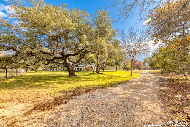 Image 39 of 42 For 633 Live Oak