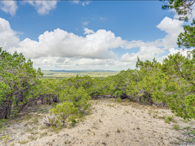 Image 15 of 30 For 259 Forest Ridge