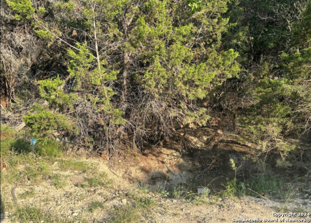 Image 3 of 7 For Tbd Brushy Creek Trl