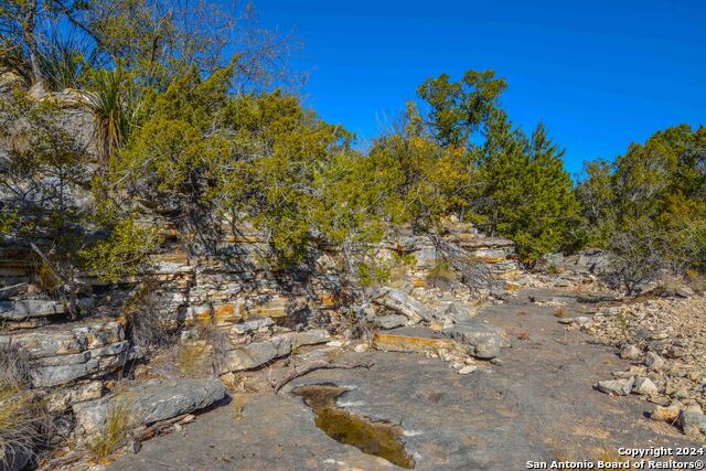 Listing photo id 27 for Tbd Dolan Creek Rd