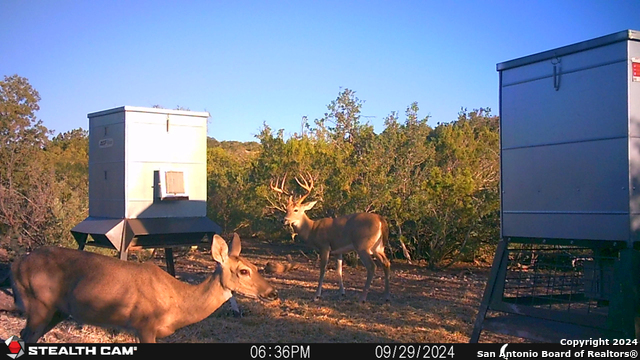 Listing photo id 42 for Tbd Dolan Creek Rd