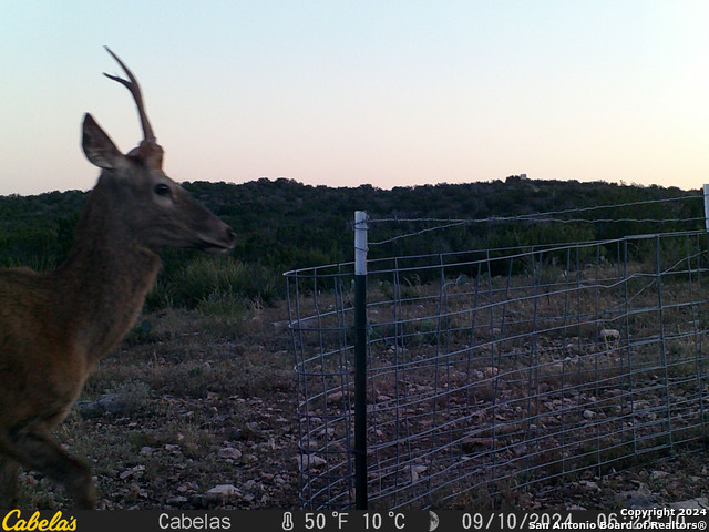 Listing photo id 43 for Tbd Dolan Creek Rd