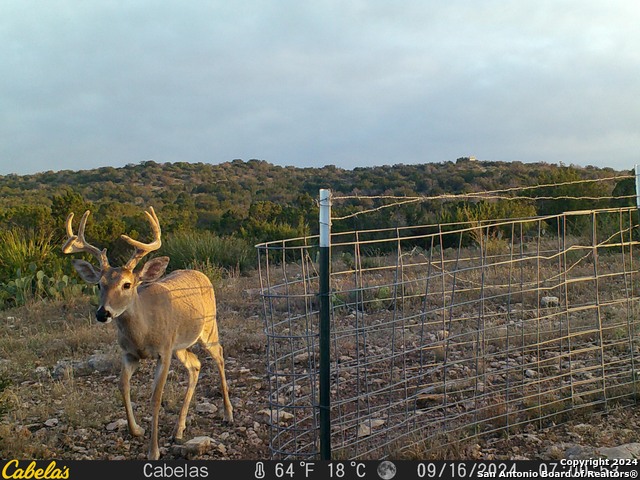 Listing photo id 44 for Tbd Dolan Creek Rd