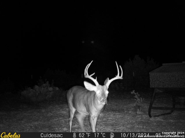 Listing photo id 45 for Tbd Dolan Creek Rd