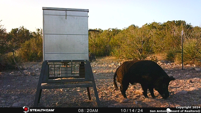 Listing photo id 46 for Tbd Dolan Creek Rd